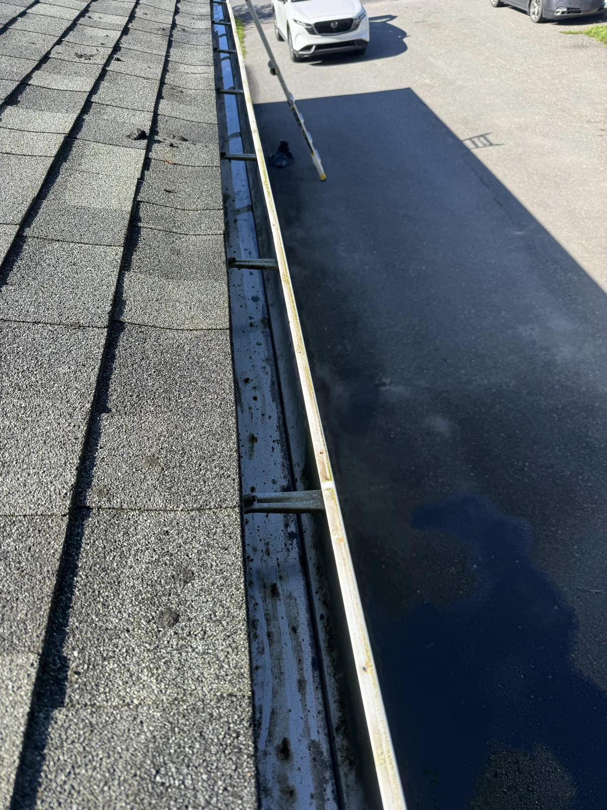 The same gutter after the greenery and buildup have been removed